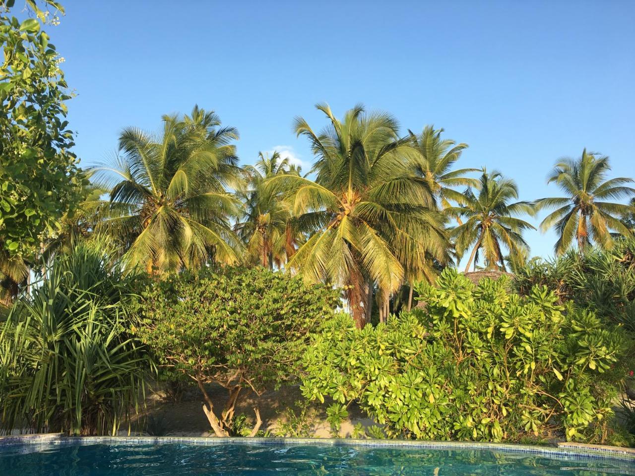 Emayani Beach Lodge Pangani Exterior photo
